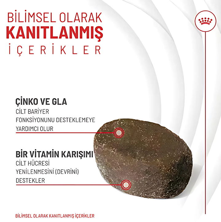 ROYAL CANİN DOG SKIN & COAT ADULT SUP. 240 GR*5